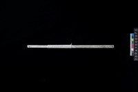 藏品(兩端帶穿玉棒)的圖片