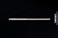 藏品(兩端帶穿玉棒)的圖片