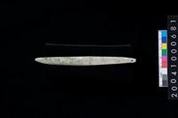 藏品(玉棒)的圖片