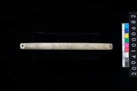 藏品(兩端帶穿玉棒)的圖片