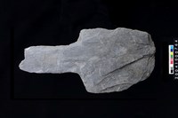 藏品(有肩石斧)的圖片