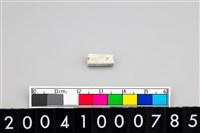 藏品(玉管珠)的圖片