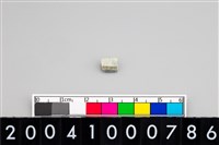 藏品(玉管珠)的圖片