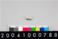 藏品(玉管珠)的圖片