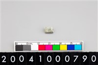 藏品(玉管珠)的圖片