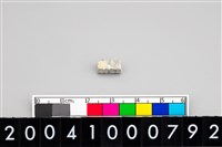 藏品(玉管珠)的圖片