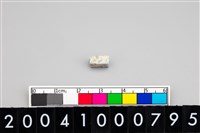 藏品(玉管珠)的圖片