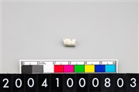 藏品(玉管珠)的圖片