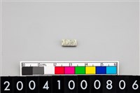 藏品(玉管珠)的圖片