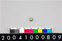 藏品(玉管珠)的圖片