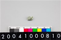 藏品(玉管珠)的圖片