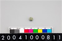 藏品(玉管珠)的圖片