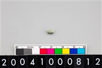 藏品(玉管珠)的圖片