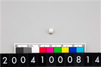 藏品(玉管珠)的圖片