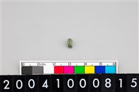 藏品(玉管珠)的圖片