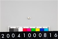 藏品(玉管珠)的圖片