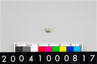 藏品(玉管珠)的圖片