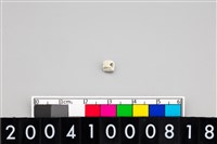 藏品(玉管珠)的圖片