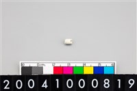 藏品(玉管珠)的圖片