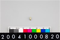 藏品(玉管珠)的圖片