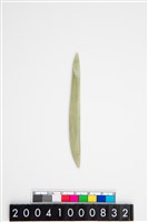 藏品(玉簪 )的圖片