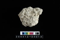 藏品(生痕化石)的圖片