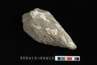 藏品(蚌)的圖片