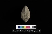 藏品(生痕化石)的圖片