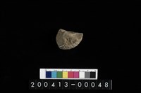 藏品(生痕化石)的圖片