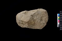 藏品(砍砸器)的圖片