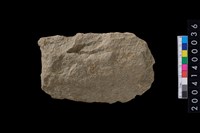 藏品(打製石斧)的圖片