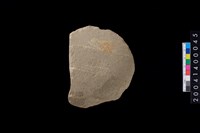 藏品(砍伐器)的圖片