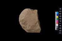 藏品(打製石斧)的圖片