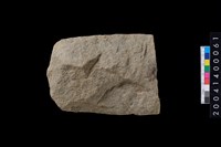 藏品(打製石斧)的圖片