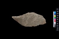 藏品(刮削器)的圖片