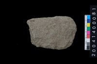 藏品(打製石斧)的圖片