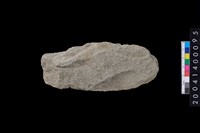 藏品(打製石斧)的圖片