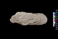 藏品(打製石斧)的圖片