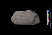 藏品(打製石斧)的圖片