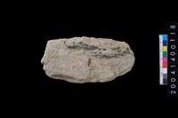 藏品(打製石斧)的圖片