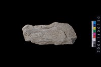 藏品(打製石斧)的圖片