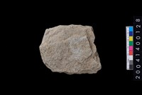 藏品(打製石斧)的圖片