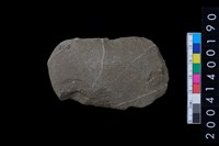 藏品(打製石斧)的圖片