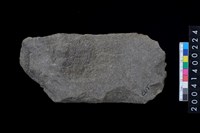 藏品(打製石斧)的圖片