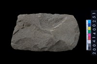 藏品(打製石斧)的圖片