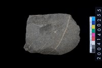 藏品(刮削器)的圖片