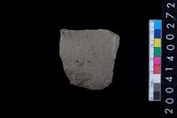 藏品(打製石斧)的圖片