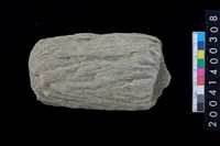 藏品(石杵)的圖片