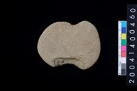 藏品(石網墜)的圖片