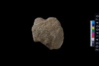 藏品(打製石斧)的圖片